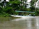 En bateau sur la canal de Tortuguero